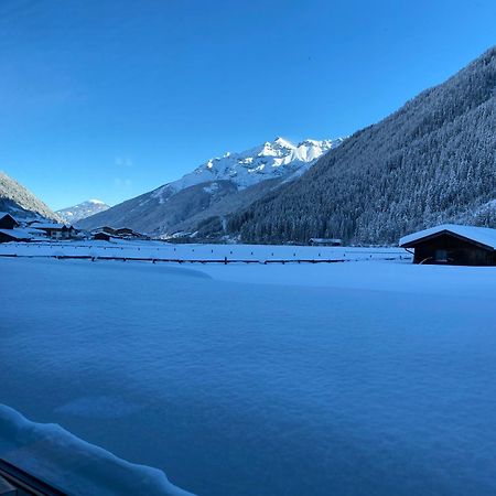 Apartment Mountainview Neustift im Stubaital Extérieur photo