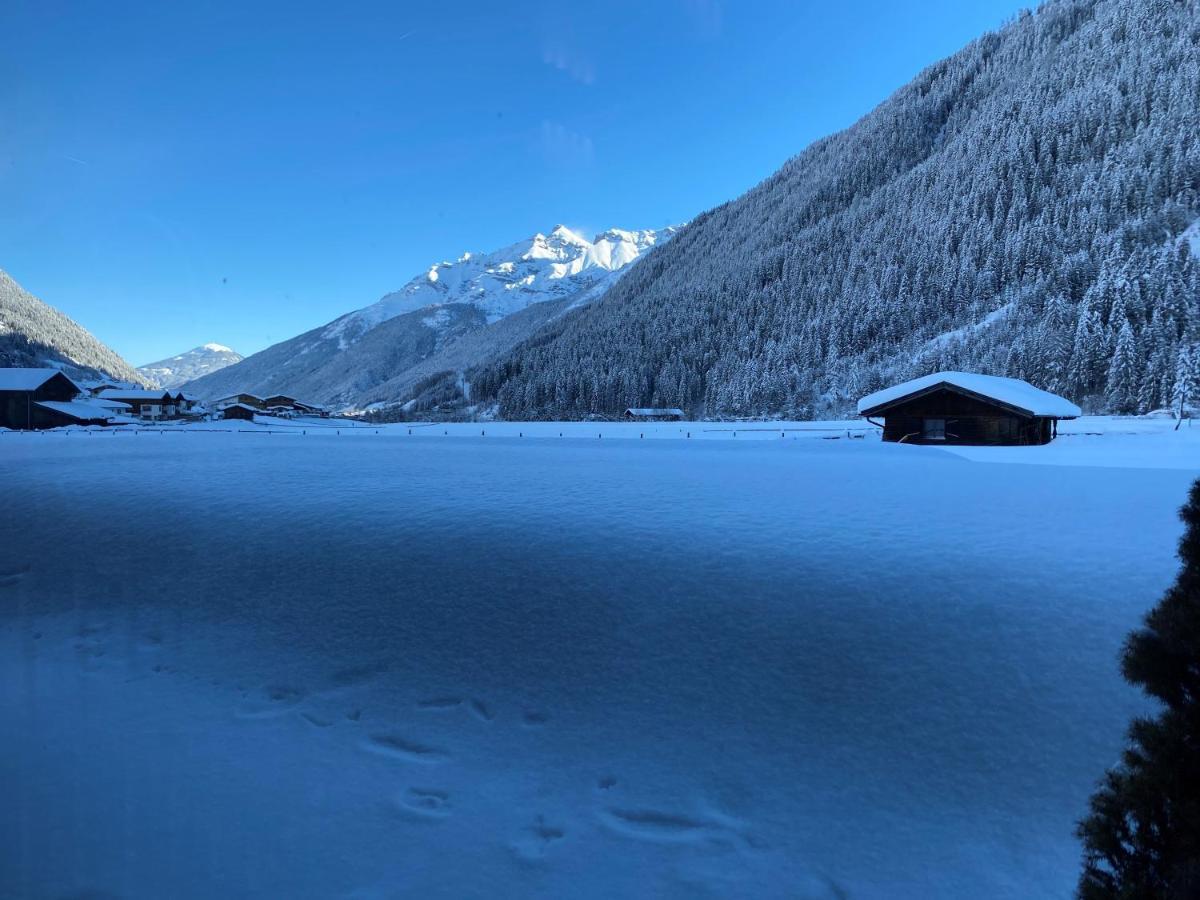 Apartment Mountainview Neustift im Stubaital Extérieur photo
